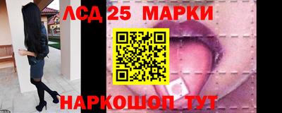 молекула духа Будённовск
