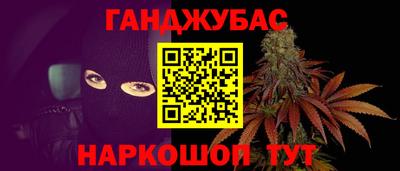 молекула духа Будённовск
