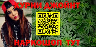 молекула духа Будённовск