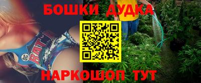 молекула духа Будённовск