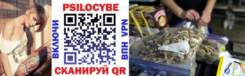 Галлюциногенные грибы Psilocybine cubensis  Новодвинск 