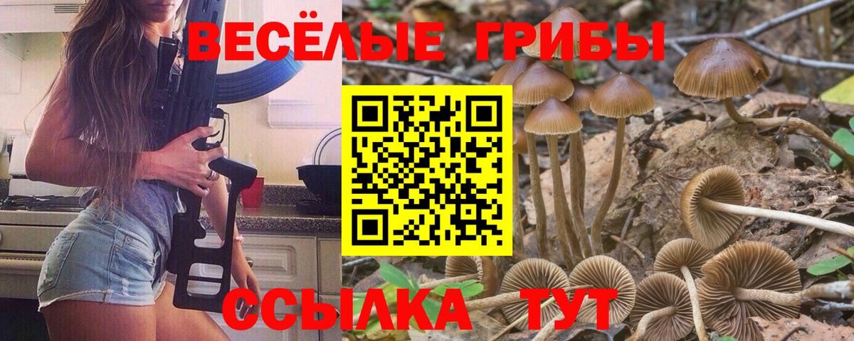 Галлюциногенные грибы MAGIC MUSHROOMS  Псилоцибиновые грибы Psilocybe  Новодвинск  Вход с VPN 