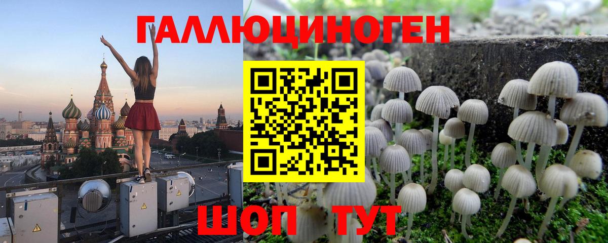 Псилоцибиновые грибы прущие грибы Новодвинск