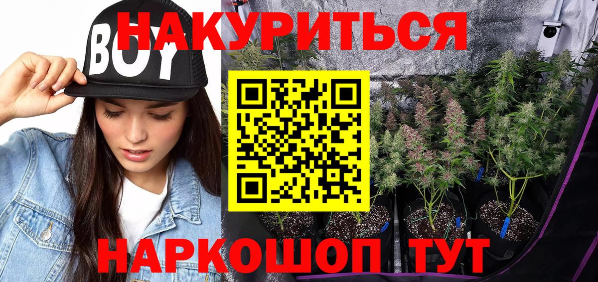 Конопля сатива  Конопля гибрид  Новодвинск  Вход с VPN  Каннабис Bruce Banner 